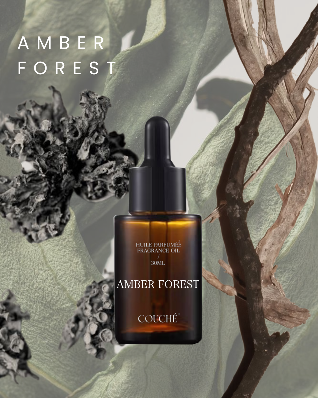 AMBER FOREST FRAGRANCE OIL 30ML – COUCHÉ OFFICIAL